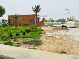 Ashoka Greenz 